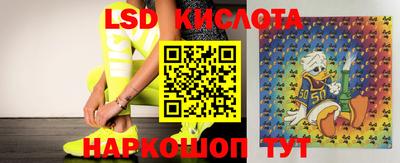 PSILOCYBIN Обнинск