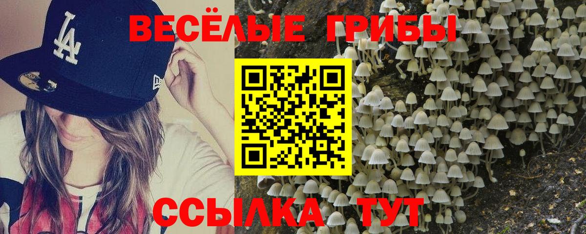 Мытищи  Галлюциногенные грибы Psilocybine cubensis  Вход с VPN  Галлюциногенные грибы мицелий 