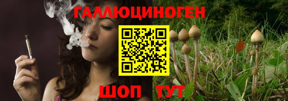 Галлюциногенные грибы мухоморы Мытищи